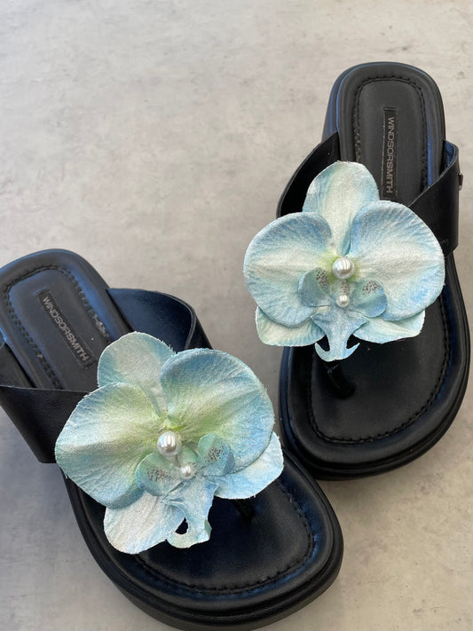 BLUE AND WHITE ORCHID WITH SHOE CLIPS