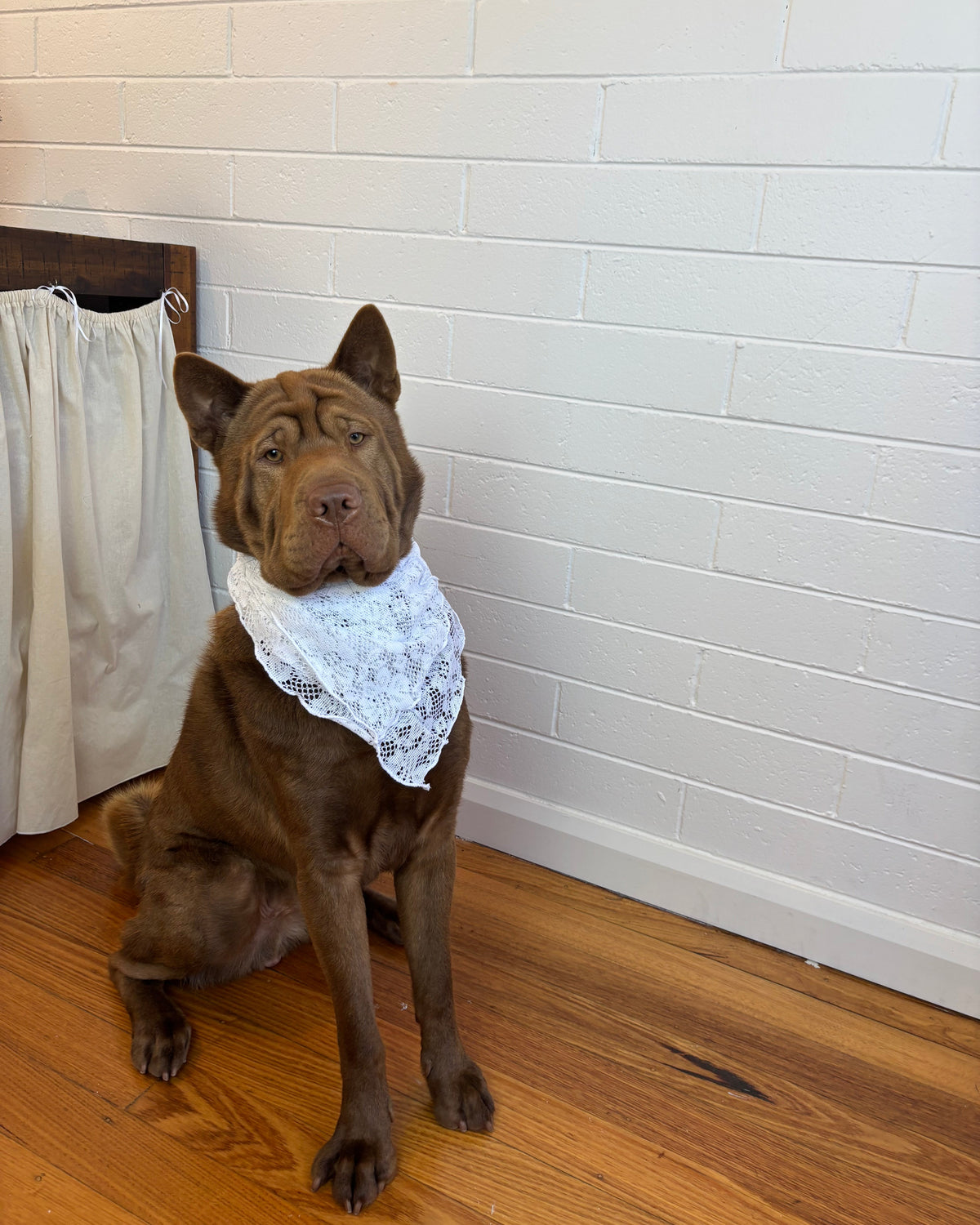 WHITE LACE SCRAP MATERIAL BANDANA