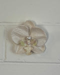 WHITE ORCHID