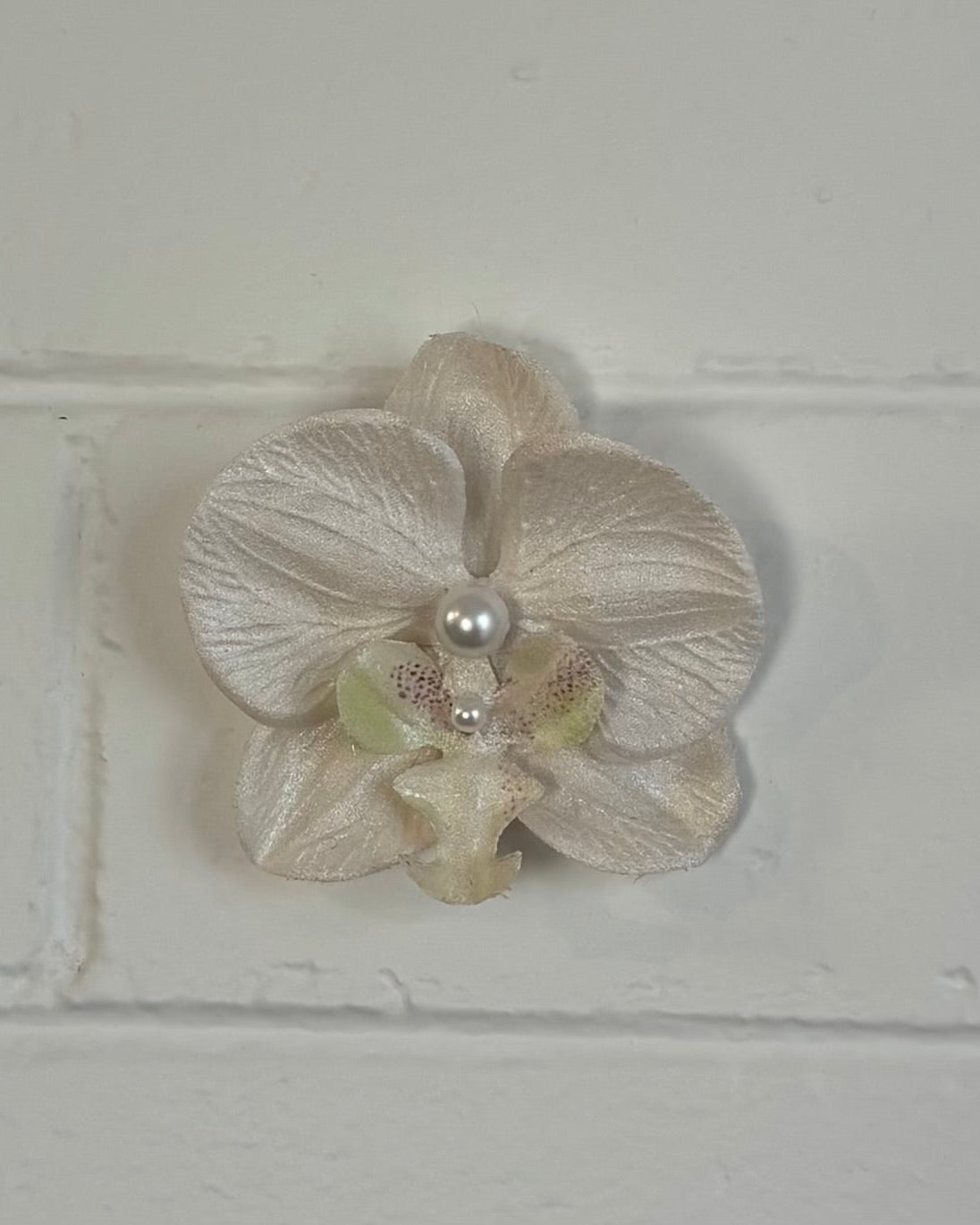 WHITE ORCHID