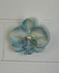BLUE/GREEN ORCHID