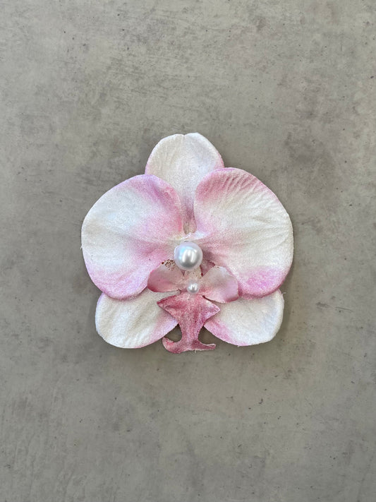 PINK AND WHITE ORCHID