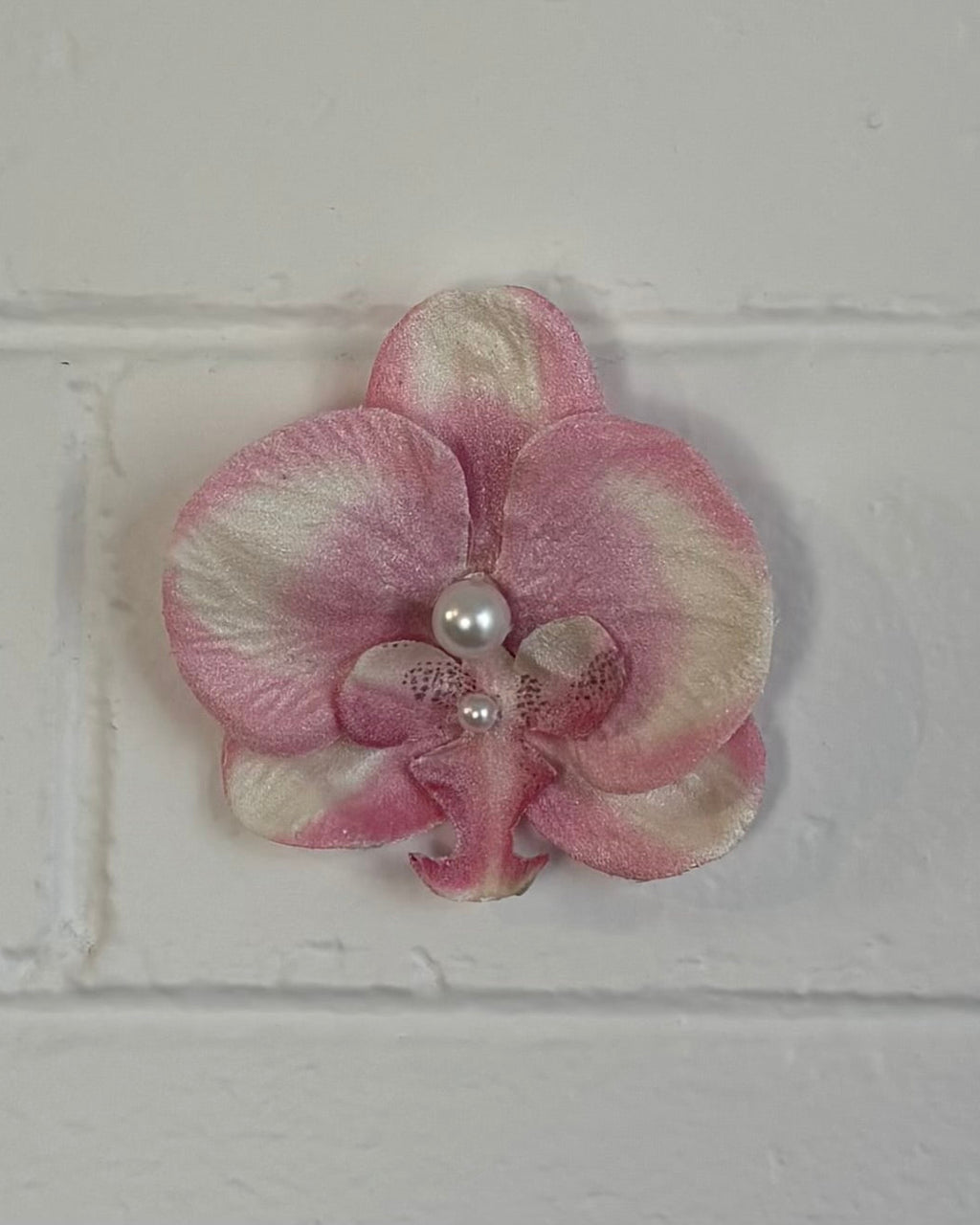 PINK/WHITE ORCHID